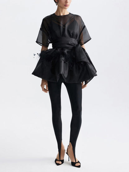 Elegante Veer Organza Top Tweedelige Set