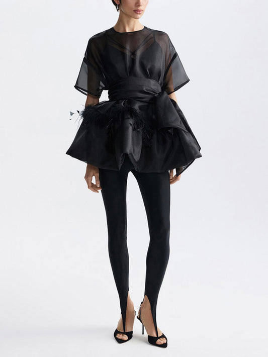 Elegante Veer Organza Top Tweedelige Set