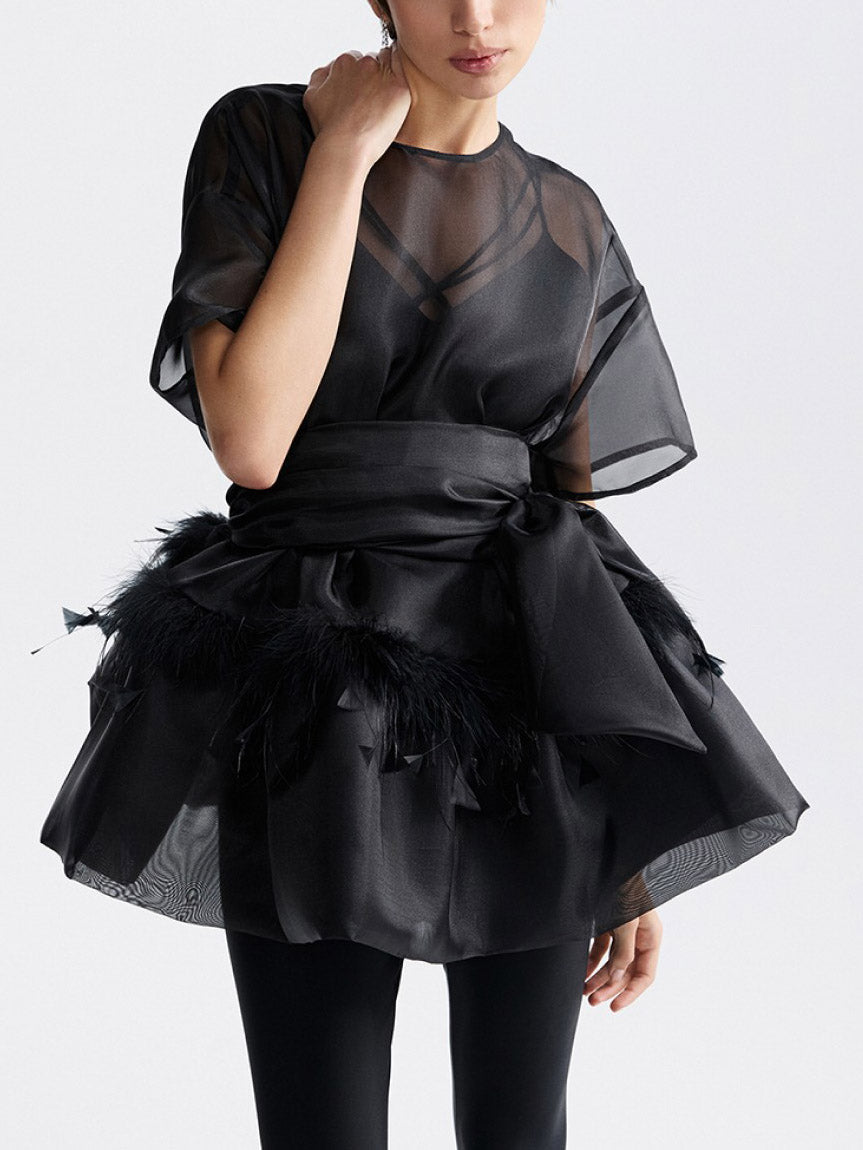 Elegante Veer Organza Top Tweedelige Set