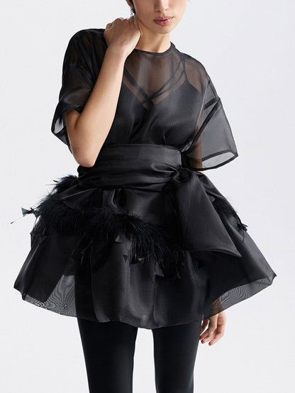 Elegante Veer Organza Top Tweedelige Set