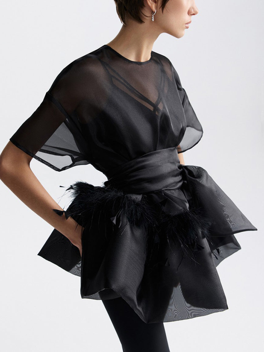 Elegante Veer Organza Top Tweedelige Set