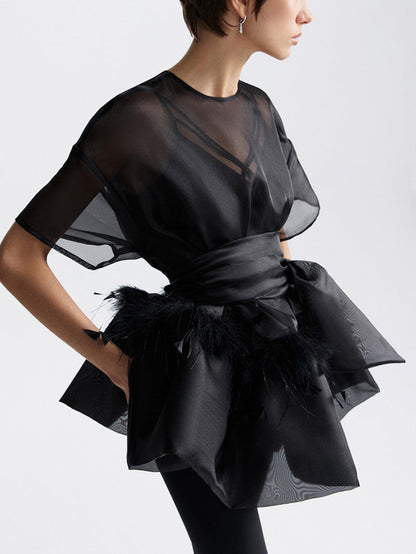 Elegante Veer Organza Top Tweedelige Set